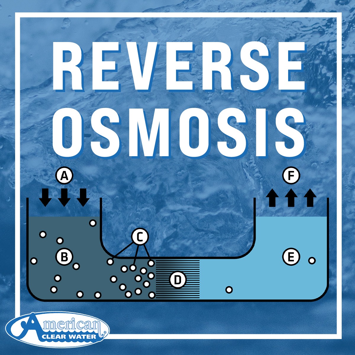 Read more about the article Reverse osmosis