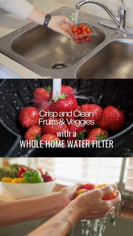 Read more about the article Your fruits and veggies will always be safe, crisp and clean when you install a whole-home filter