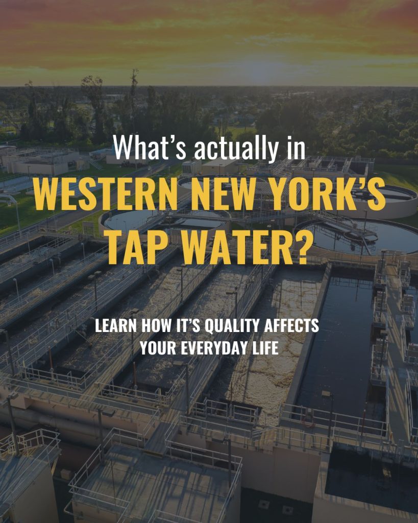Knowledge is power—especially when it comes to the water your family uses every single day